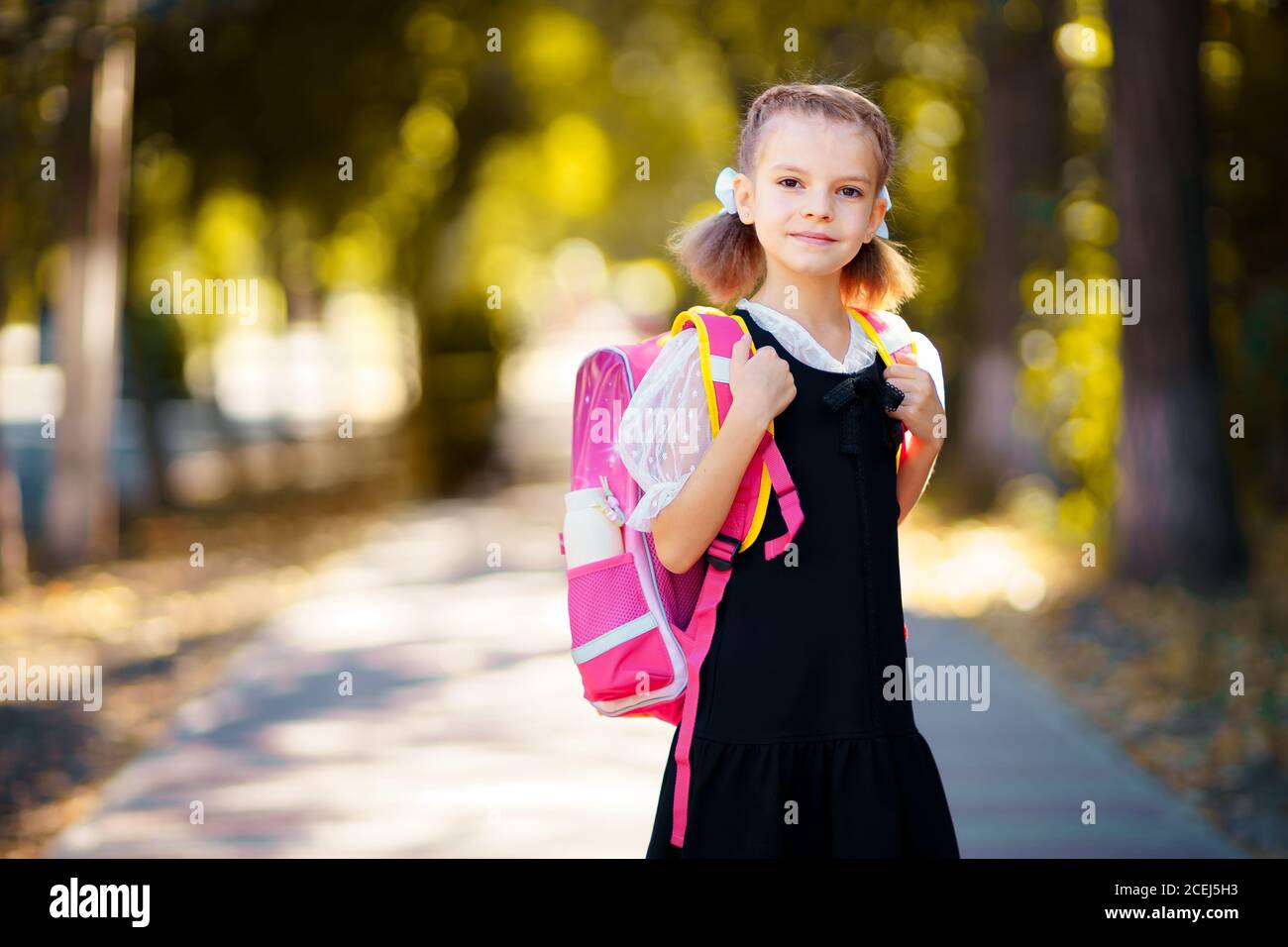 Beautiful little girl with backpack walking in the park ready back to ...