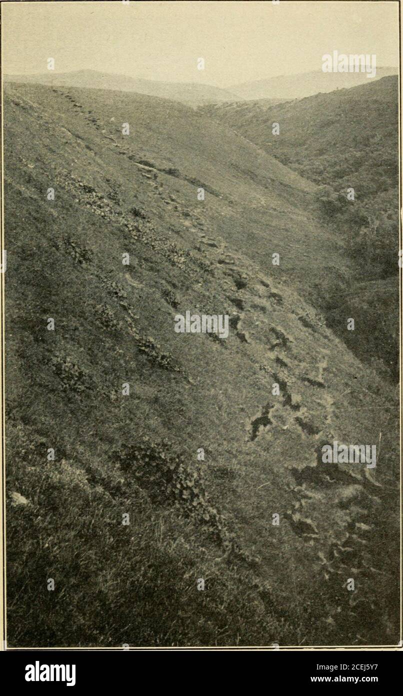 San andreas fault line hires stock photography and images Alamy