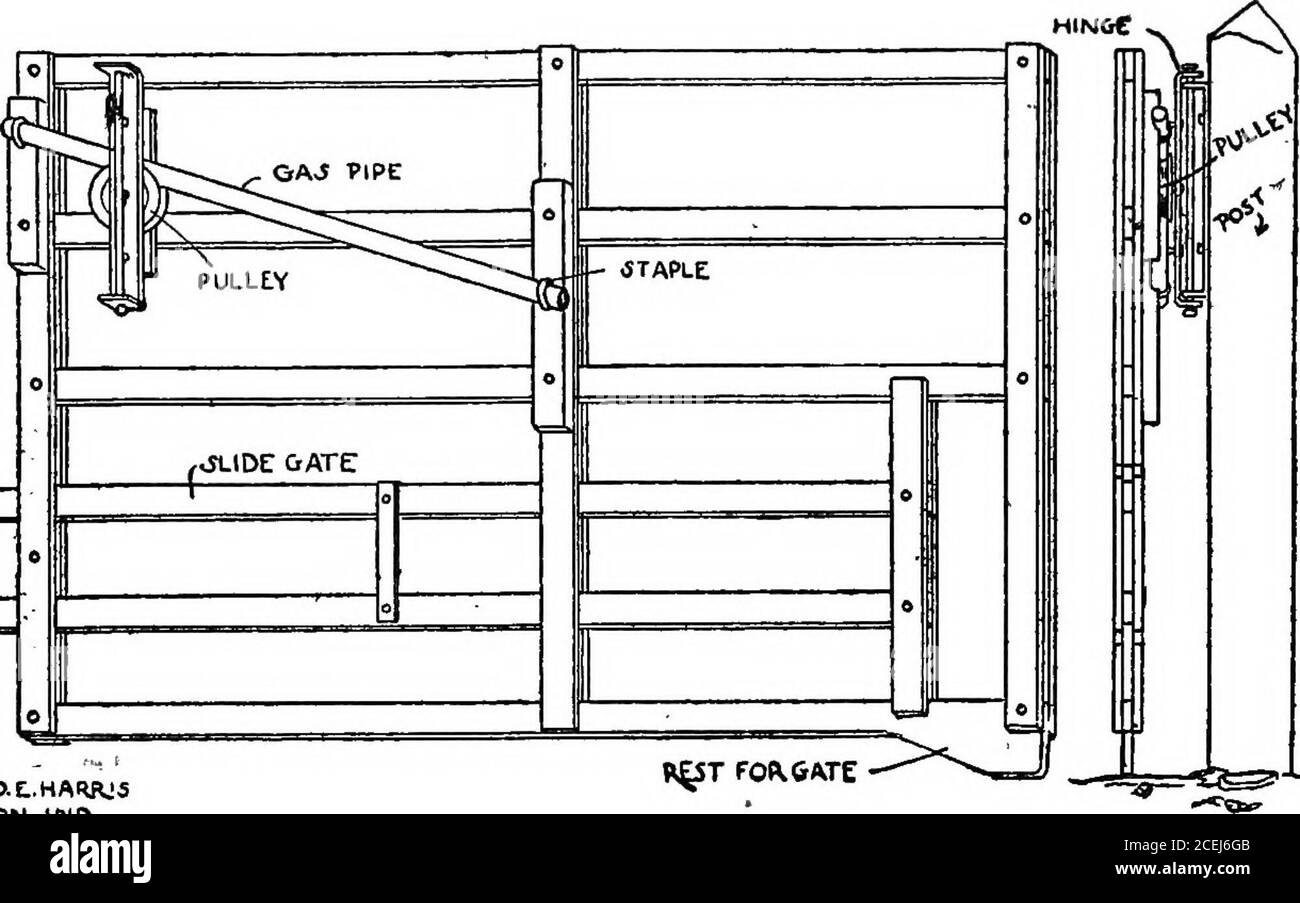 . Hogology. h gas pipe, attached to thegate as indicated in the diagram. Toopen this gate you take hold of theextended slat (which the artists failedto indicate in the drawing, but whichis simply an extension of the thirdslat on the end of the gate oppositethe hinge) and push the gate di- Fifty-six PART II rectly from the latch post toward thehinge post until the pulley is as fartoward the center brace of the gateas it will go. It is a simple matter,then, to swing the gate around off theground and free from interference ofcobs or other refuse. Not the least feature of this gate isthe lower sli Stock Photo