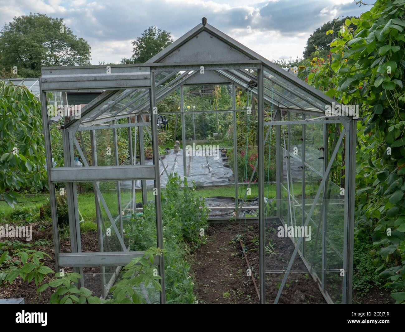 Close up of an open small greenhouse seen on the allotment plot Stock Photo  - Alamy
