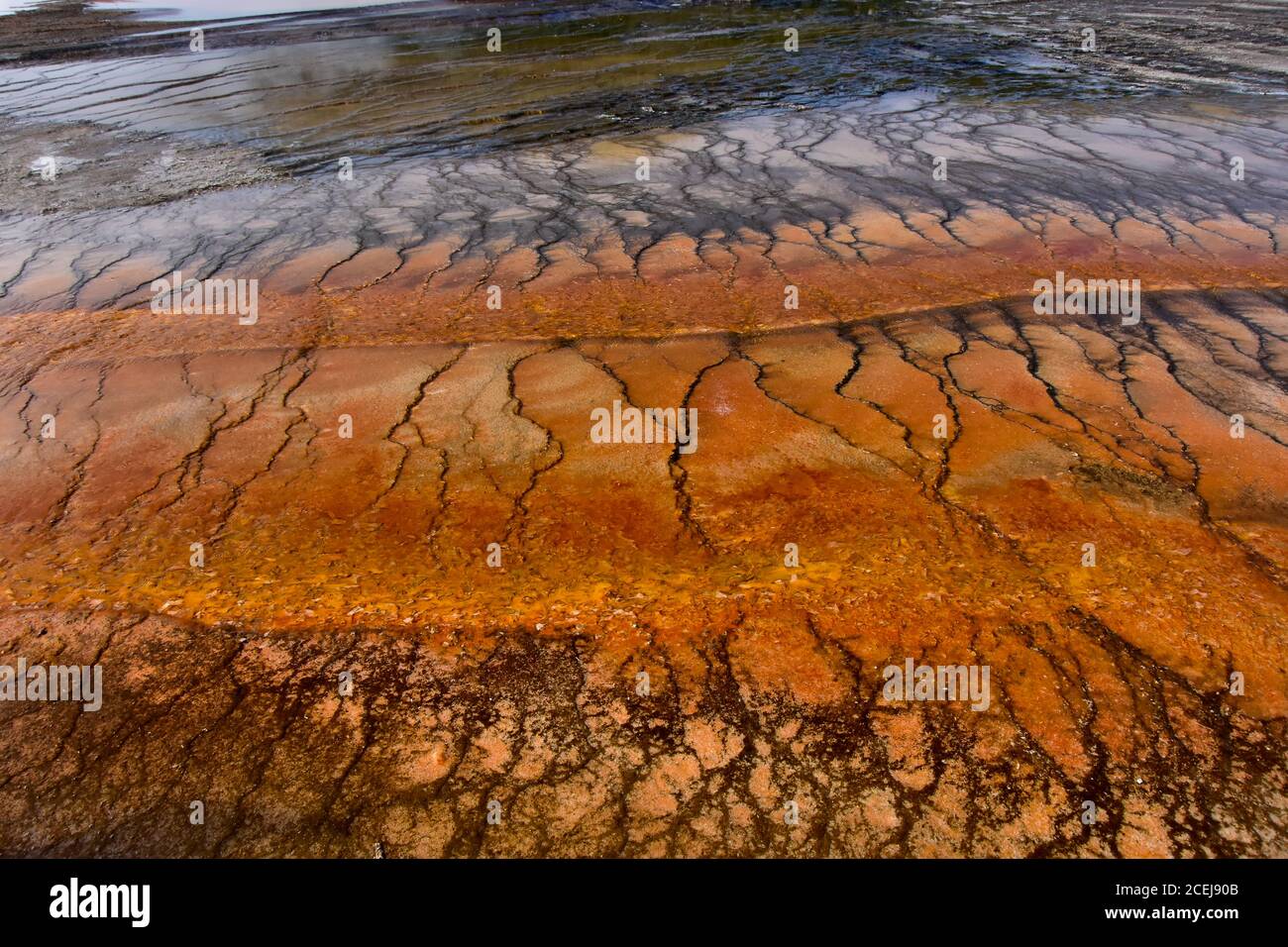 Strange and Colorful bacteria mats at Midway Geyser Basin, Yellowstone National Park. Midway Geyser basin also has many beautiful pools, and springs. Stock Photo