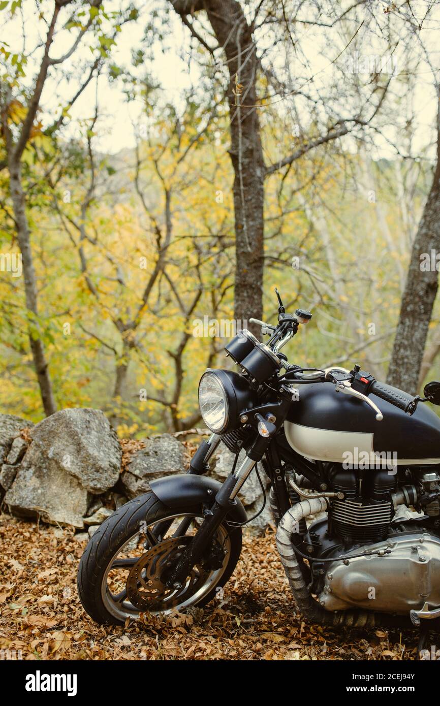 Cafe racer motorbike parked on a road between trees in autumn Stock Photo -  Alamy