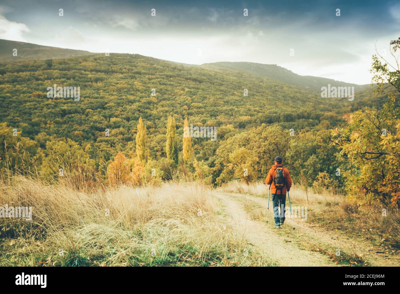 Hiker nature trail hi-res stock photography and images - Alamy