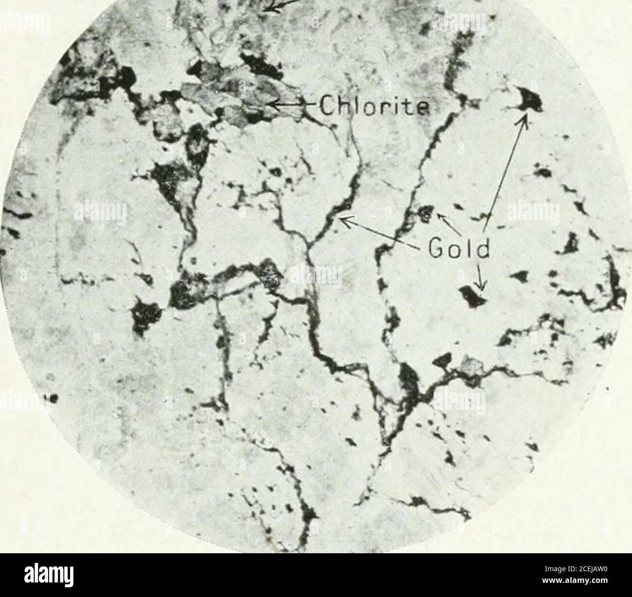 Lead chloride precipitate hires stock photography and images Alamy