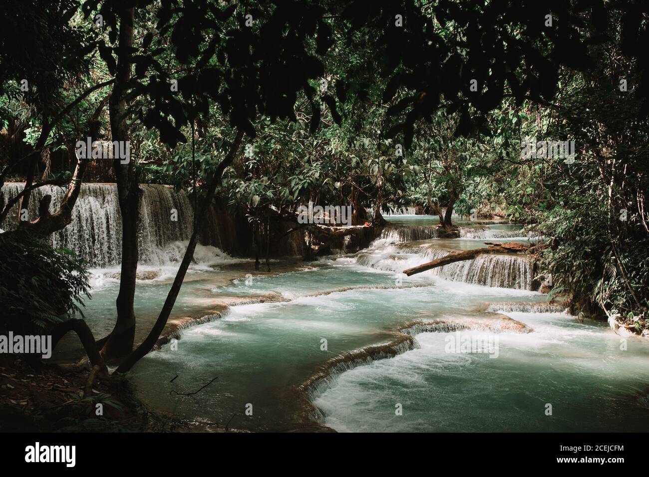 Beautiful waterfall in the forest Stock Photo - Alamy