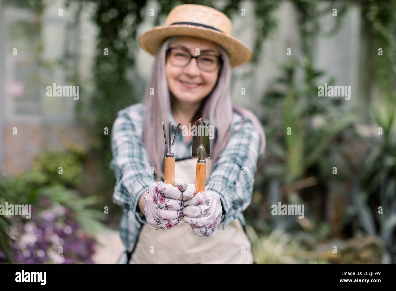 Smiling pretty elderly gardening woman, wearing straw hat and apron, showing little spade and rake to camera, posing in greenhouse, on the background Stock Photo