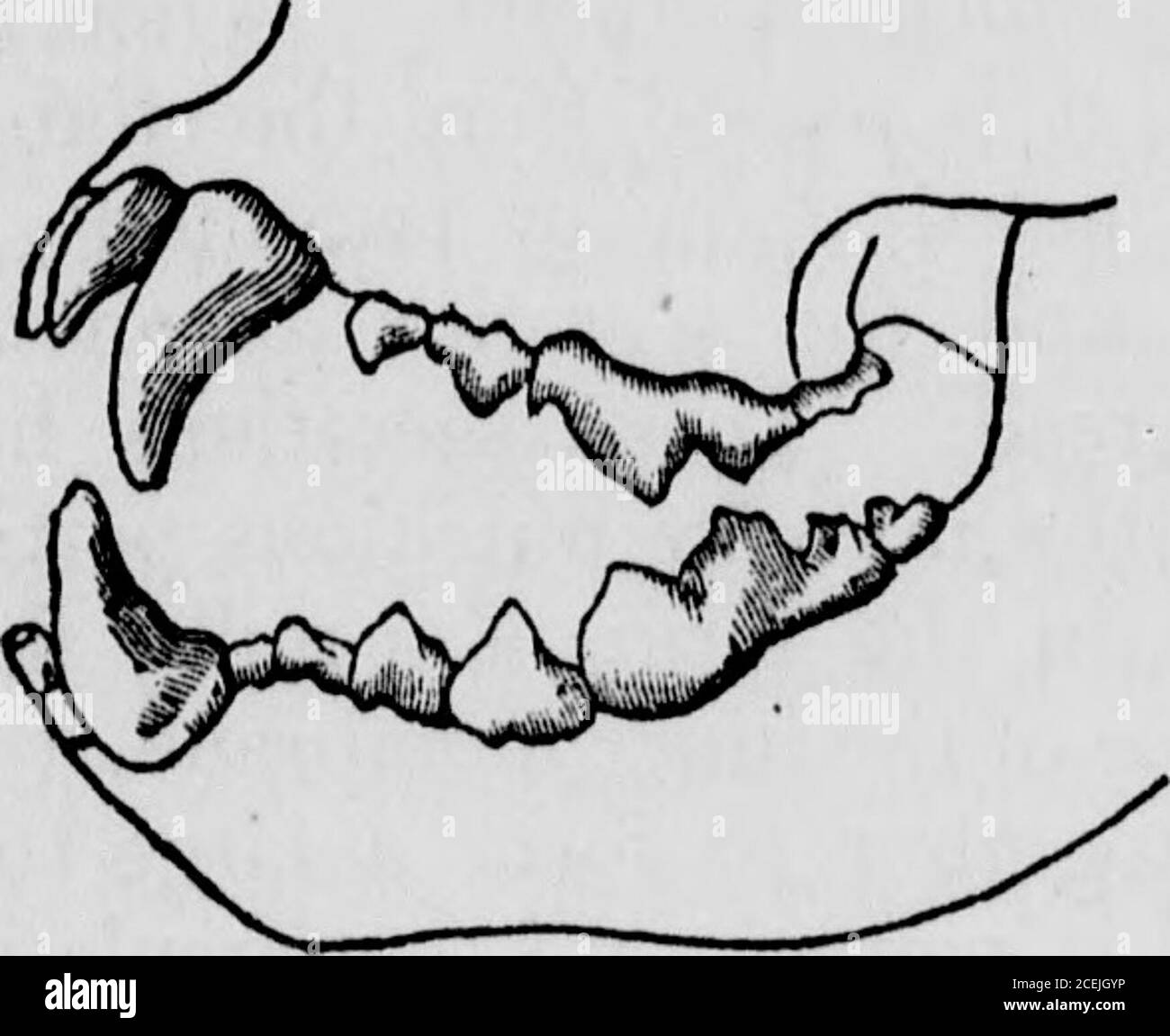 . Human physiology designed for colleges and the higher classes in
