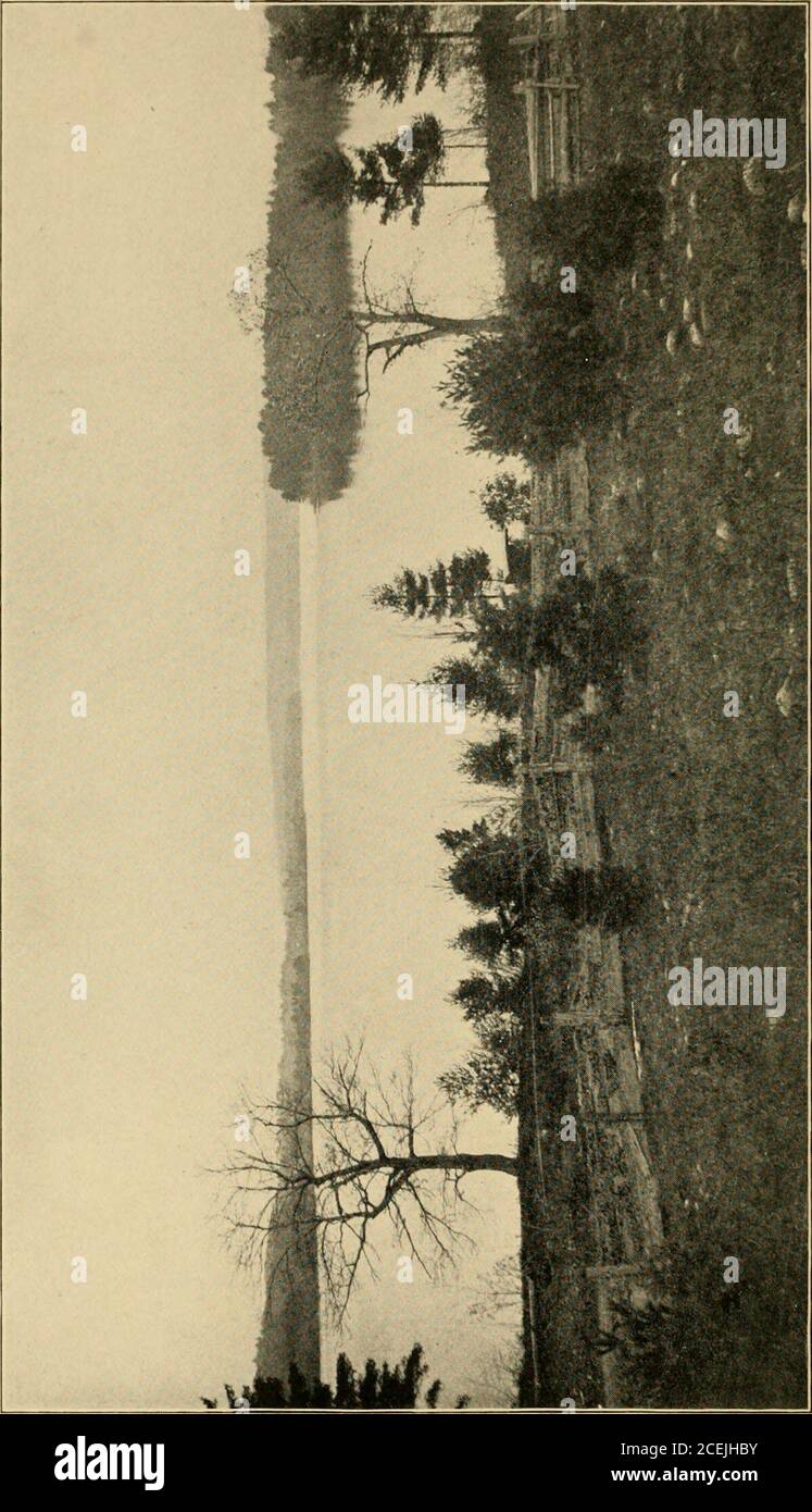 . The Aletheia : spirit of truth, a series of letters in which the principles of the United Society known as Shakers are set forth and illustrated.. . 32 John B. Vance, ......... 36 Shaker Meeting, ......... 38 Eliza Ann Taylor, ........ 40 Eldress Dorothy Ann Durgin, ...... 44 Meeting-house and Center Dwelling, ..... 48 Mary Ann Gillespie, . . . . 52 Elder William Dumont, . . . . 56 Elder Otis Saver, ........ 60 Elder Abraham Perkins, ....... 62 Elder Joshua Bussell, 64 Sisters of the Sabbathday Lake Community, ... 68 Trustees Office, 71 Eldress Lizzie Noyes, 72 Mary Ella Douglas, 76 Some o Stock Photo