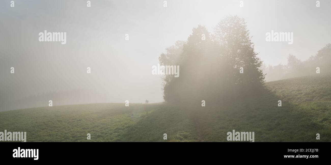 anonymous people walking in foggy meadow Stock Photo
