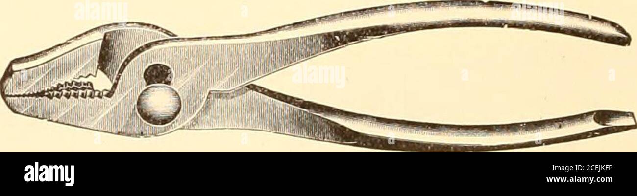 . Illustrated and descriptive catalog of saddlery, carriage and sleigh trimmings, general store supplies. NO. 10 inPROVED COHBINATION PLIERS. Gas pliers, wire cutters, wrench and screw driver combined. Drop forged from tool steel Price, nickel plated, S .75 each. Stock Photo