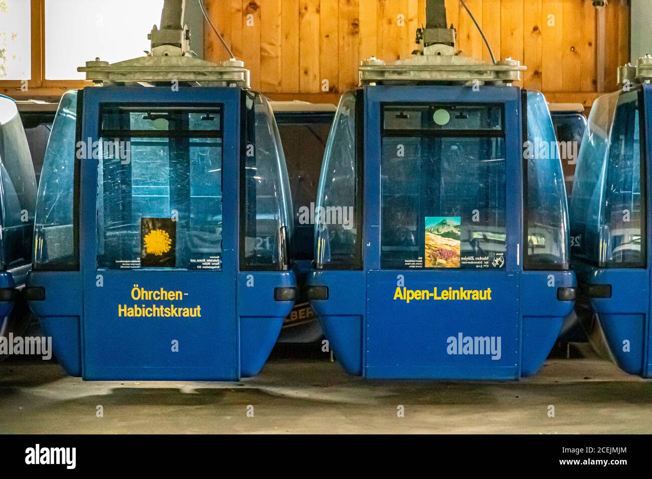 Cable car gondolas of the Stoss-Leiteli cable car with the names of alpine plants: auricula-hawkweed, alpine ragwort near Lenk, Switzerland Stock Photo
