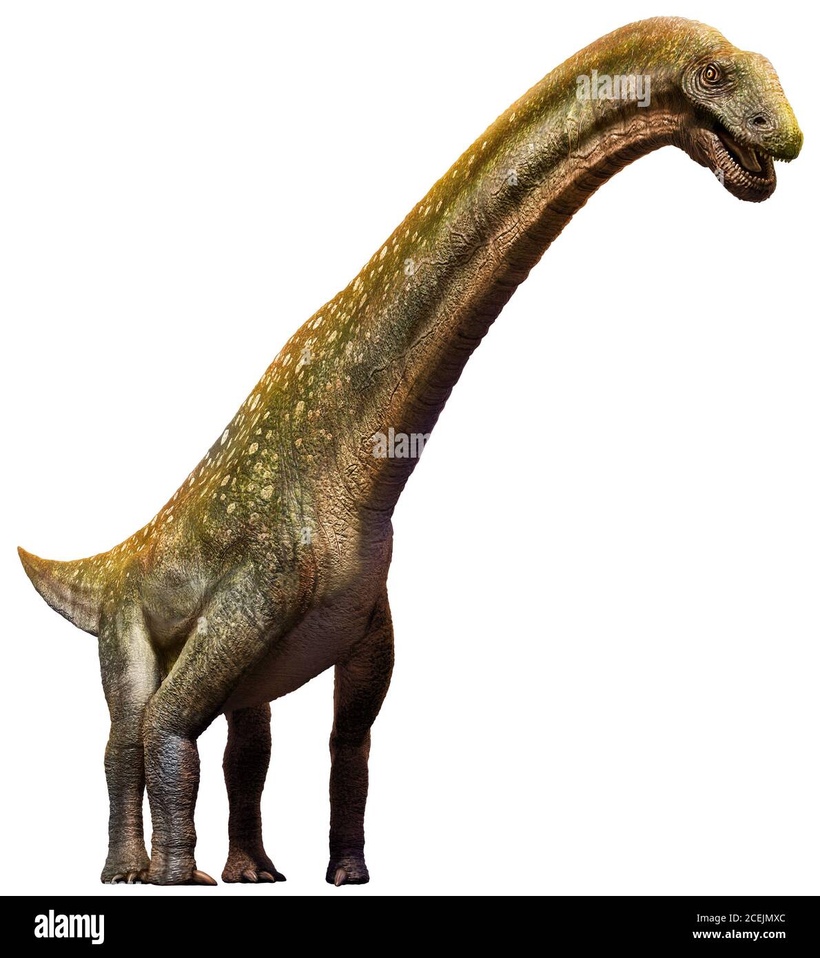 Titanosaurus from the Cretaceous era 3D illustration Stock Photo