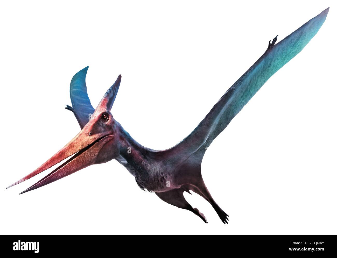 Pteranodon flying dinosaur 3D illustration Stock Photo