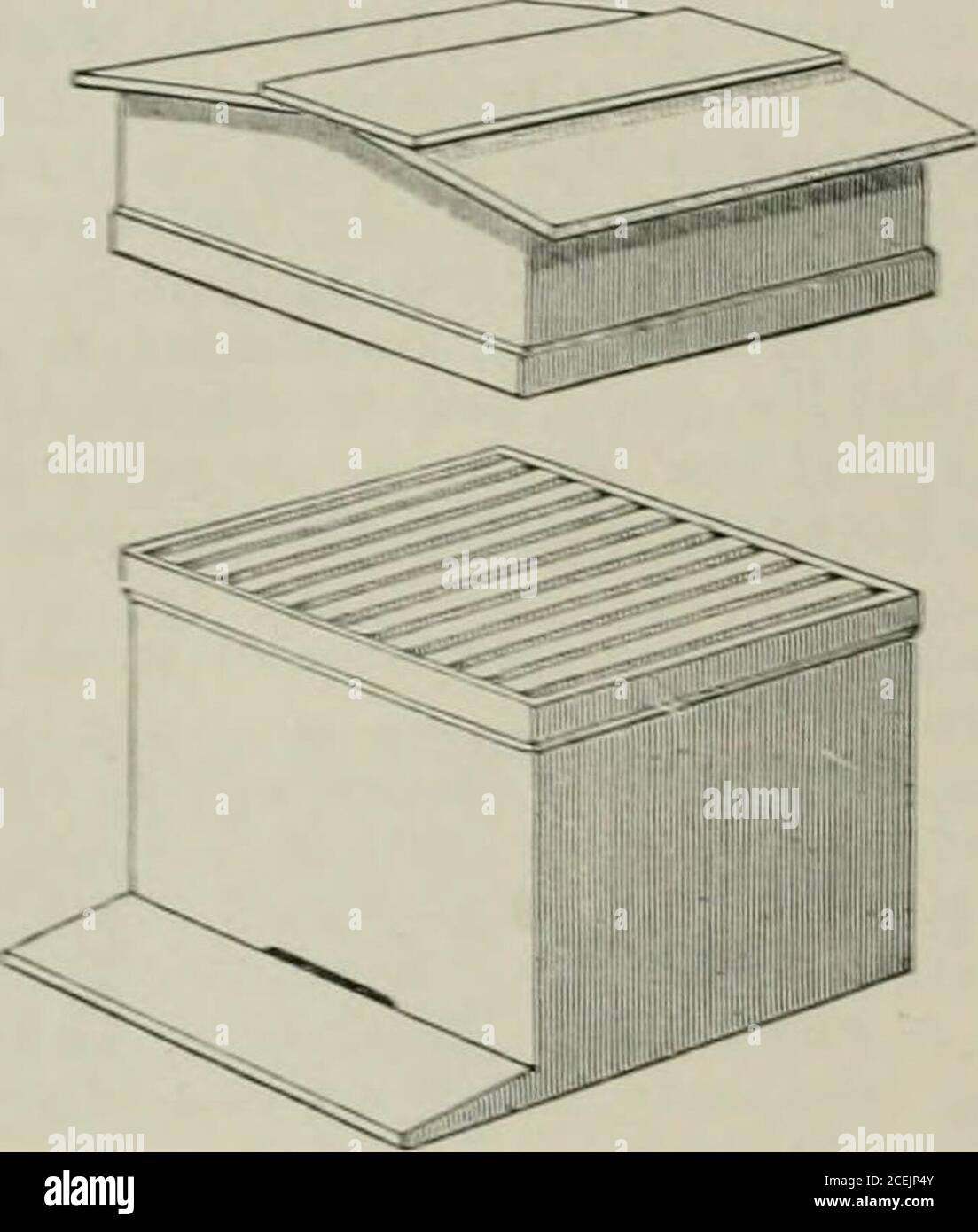 Chambers S Encyclopaedia A Dictionary Of Universal Knowledge Fig 7 Suction Ot Jjar Traino Tlive A Bar Frame With Comb B Walls Of Hive C Floor Board D Doorway E Sectional Super F Cover Of