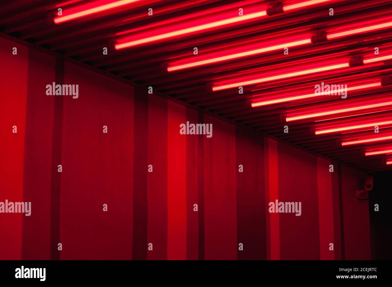 Wall with neon lights Stock Photo Alamy