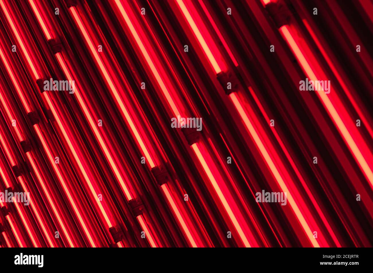 Wall with neon lights Stock Photo Alamy
