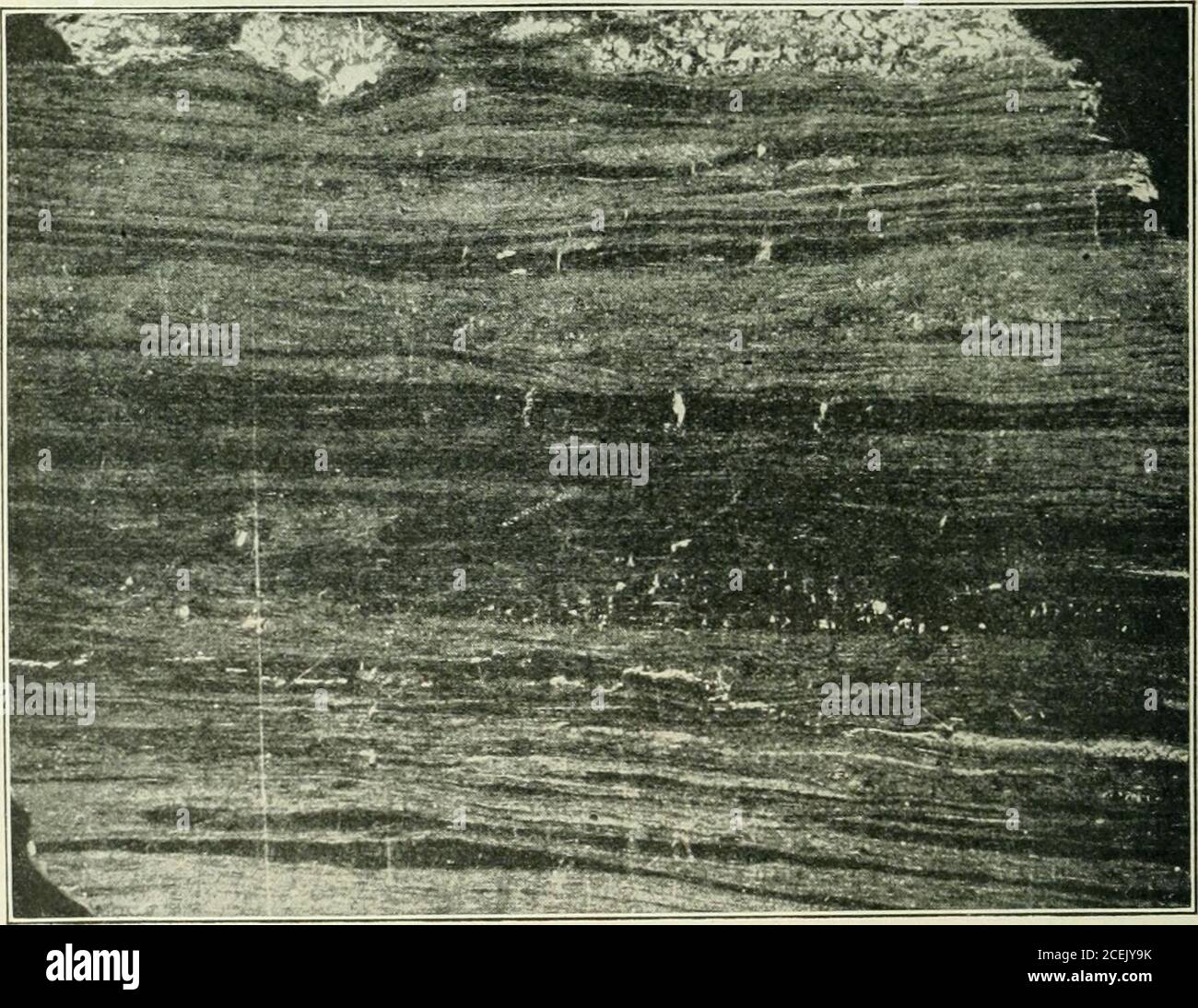 Rodlet Geometry Rodlets hi-res stock photography and images - Alamy