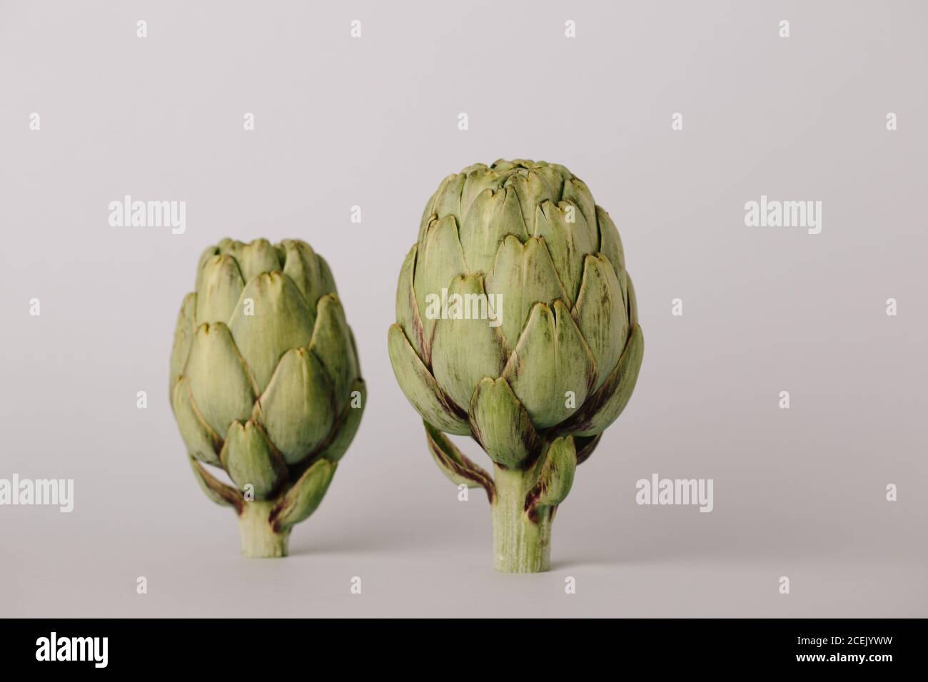 Raw uncooked whole artichokes head on white background Stock Photo