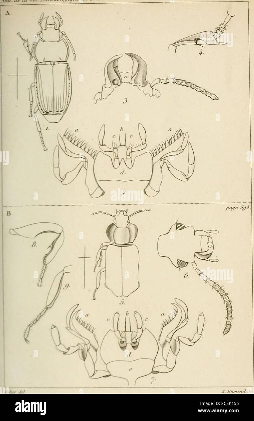 Page 2 Ix V 11 High Resolution Stock Photography And Images Alamy