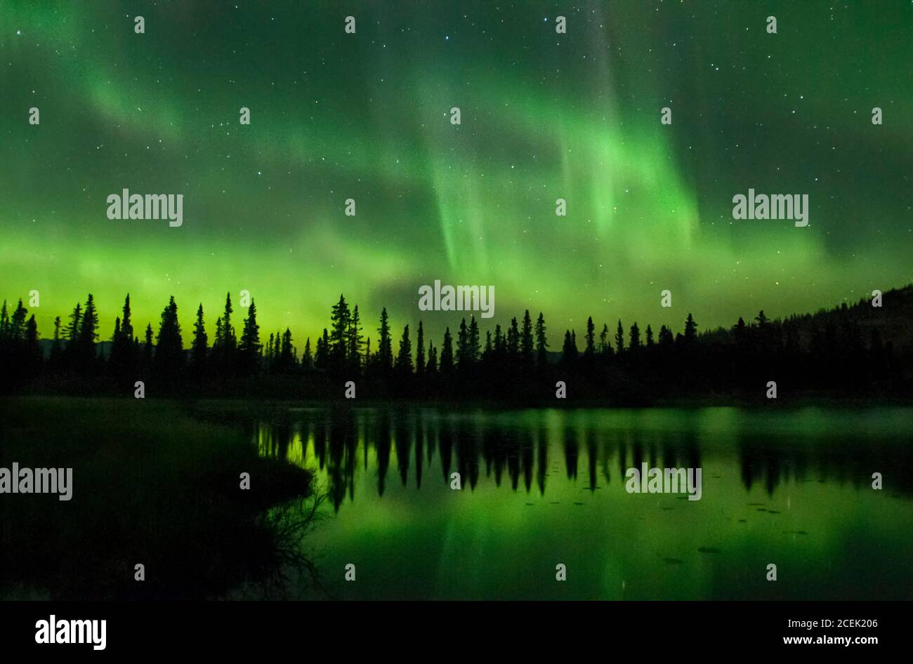 North America; United States; Alaska; Tonglen Lake; Winter; Night; Stars; Sky; Natural Phenomenon; Aurora Borealis; Northern Lights. Stock Photo