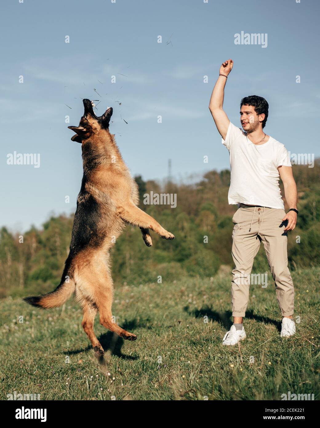 man playing with dog in nature Stock Photo