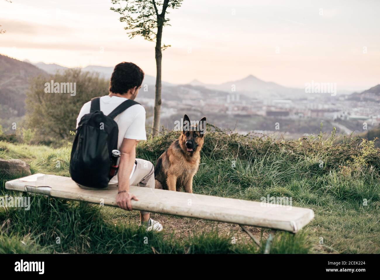man playing with dog in nature Stock Photo