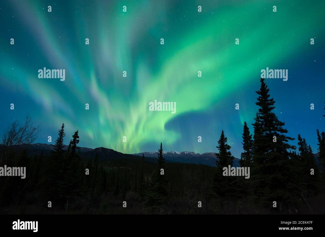 North America; United States; Alaska; Alaska Range Mountains; Winter; Night; Stars; Sky; Natural Phenomenon; Aurora Borealis; Northern Lights. Stock Photo
