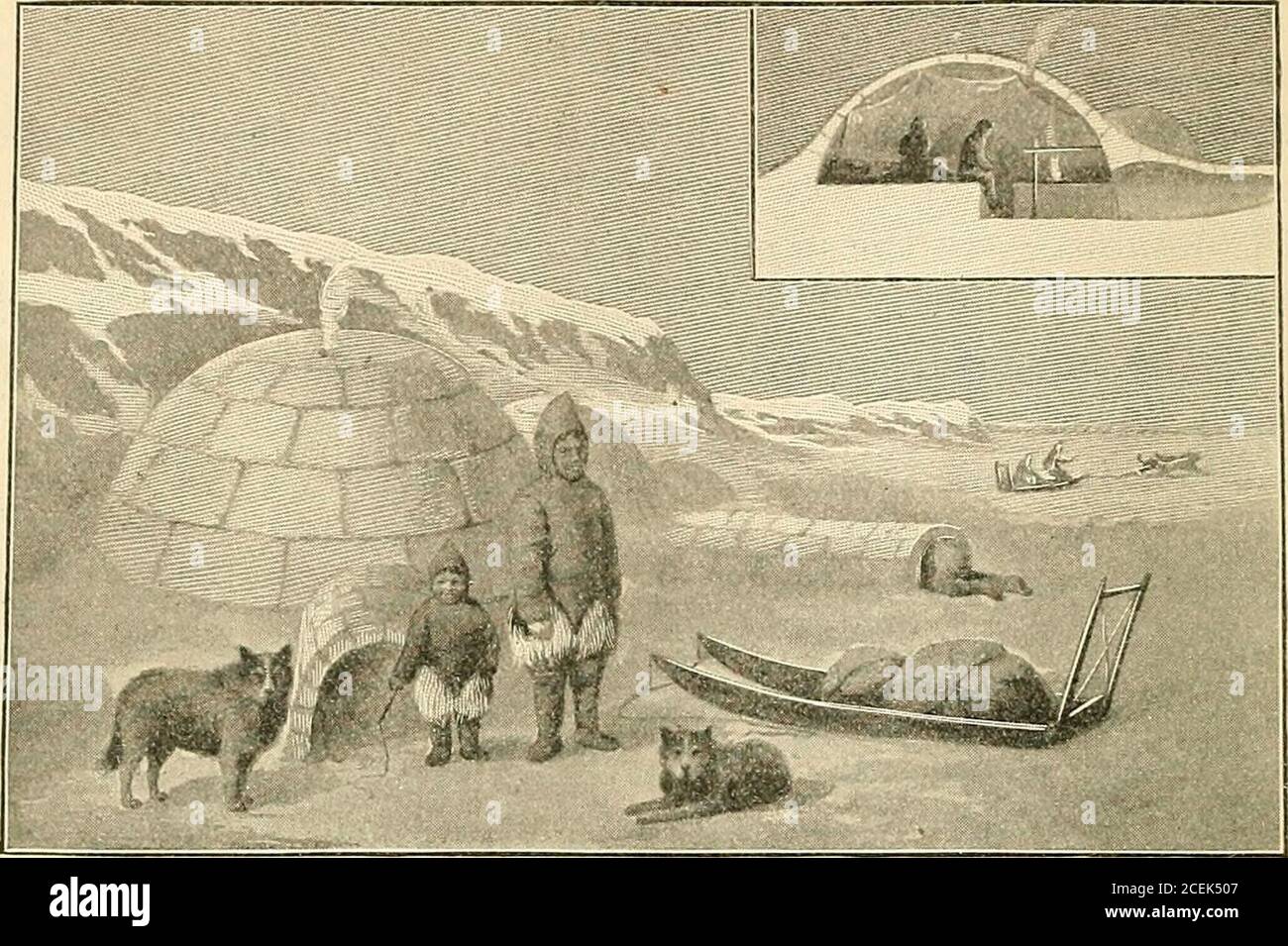 . A complete geography. man hashis team of dogs to draw his sledge over ...