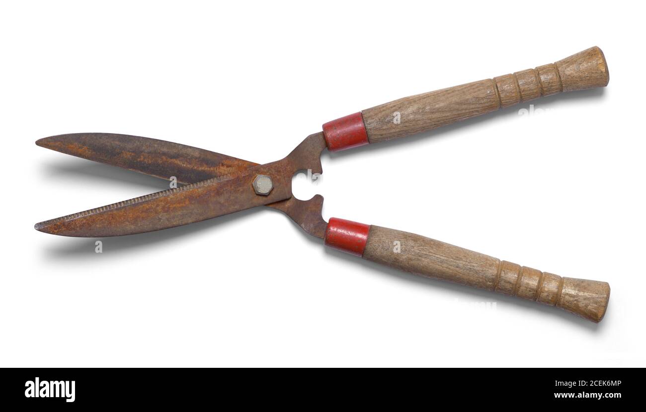 Rusty Hedge Clippers Isolated on White Background Stock Photo Alamy