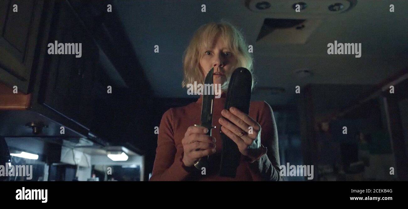 THE VANISHED, Anne Heche, 2020. © Saban Films / Courtesy Everett