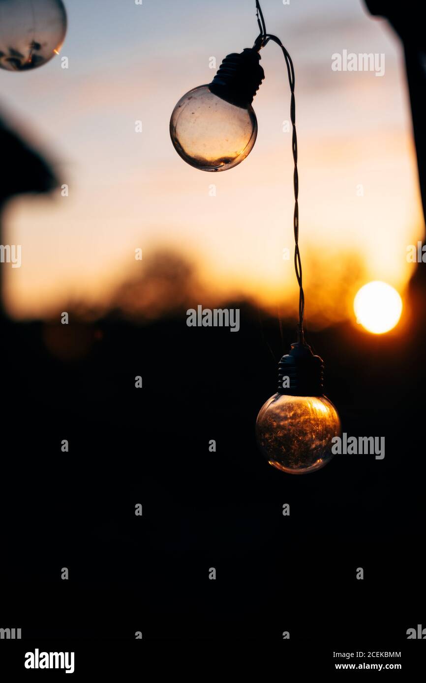 Fairy lights in form of balls hanging at sunset on blurred background Stock Photo
