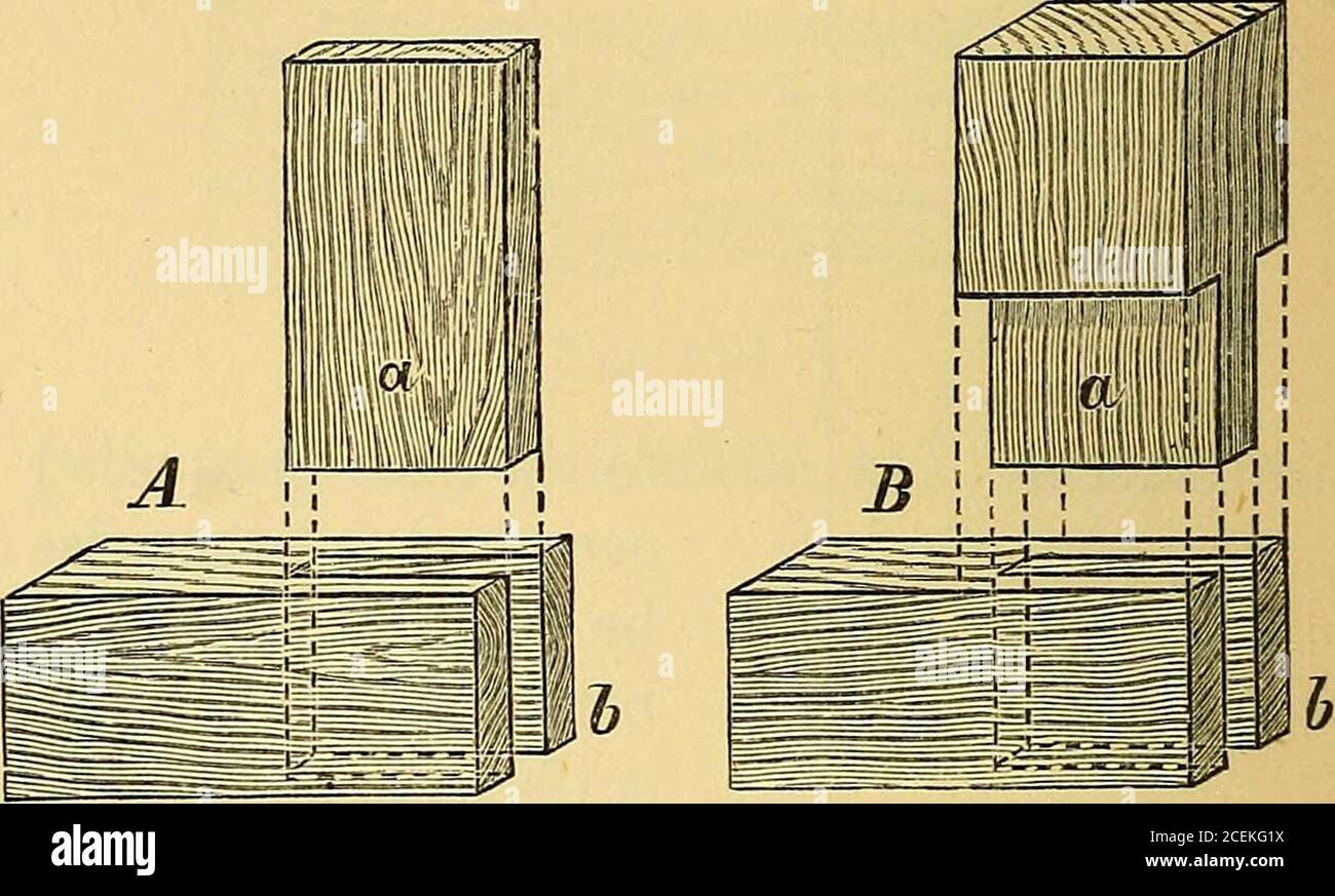 . The teacher's handbook of slöjd : as practised and taught at Naäs, containing explanations and details of each exercise. e of work with the centre-bit. The article is then fastened vertically into thebench and the saw is worked from one hole to the other,following lines previously set out. (In the case of smallarticles, use may be made of a turn-saw, the blade ofwhich is detachable at one end.) 1. The groove is set out with the compass, square, marking- point, bevel, and cutting-gauge; and a start for the sawis made with the knife. 2. It is cut out with the tenon-saw or groove-saw, firmer ch Stock Photo