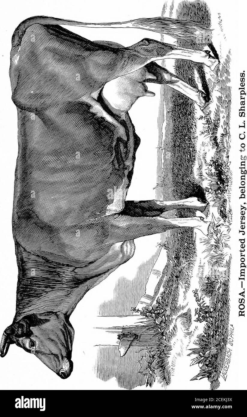 . How to select cows; or, The Guenon system simplified, explained and