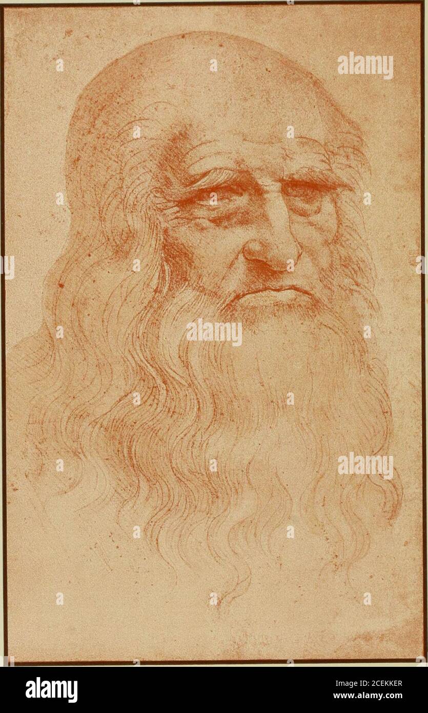 L 778 High Resolution Stock Photography And Images Alamy