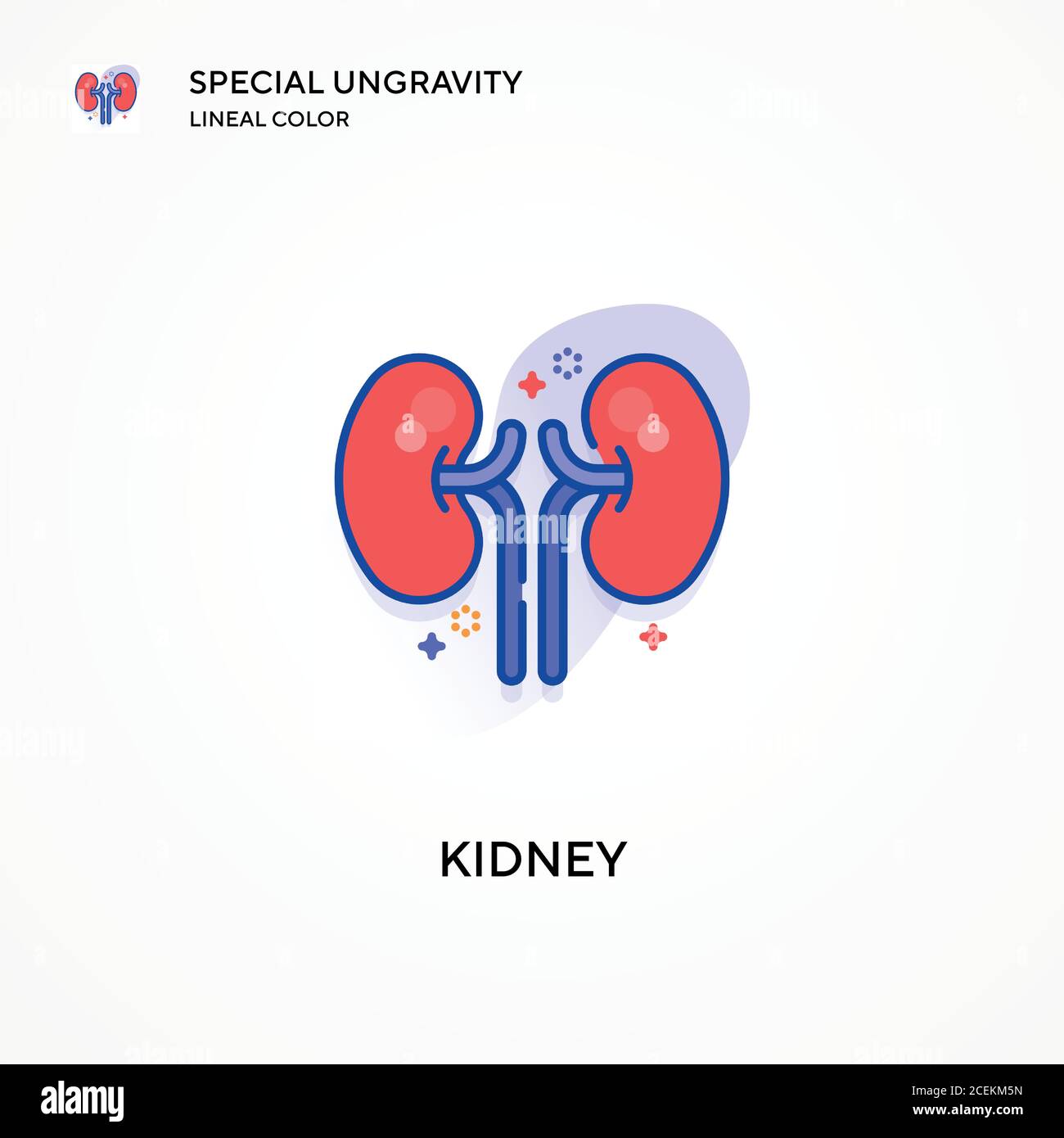 Kidney special ungravity lineal color icon. Modern vector illustration ...