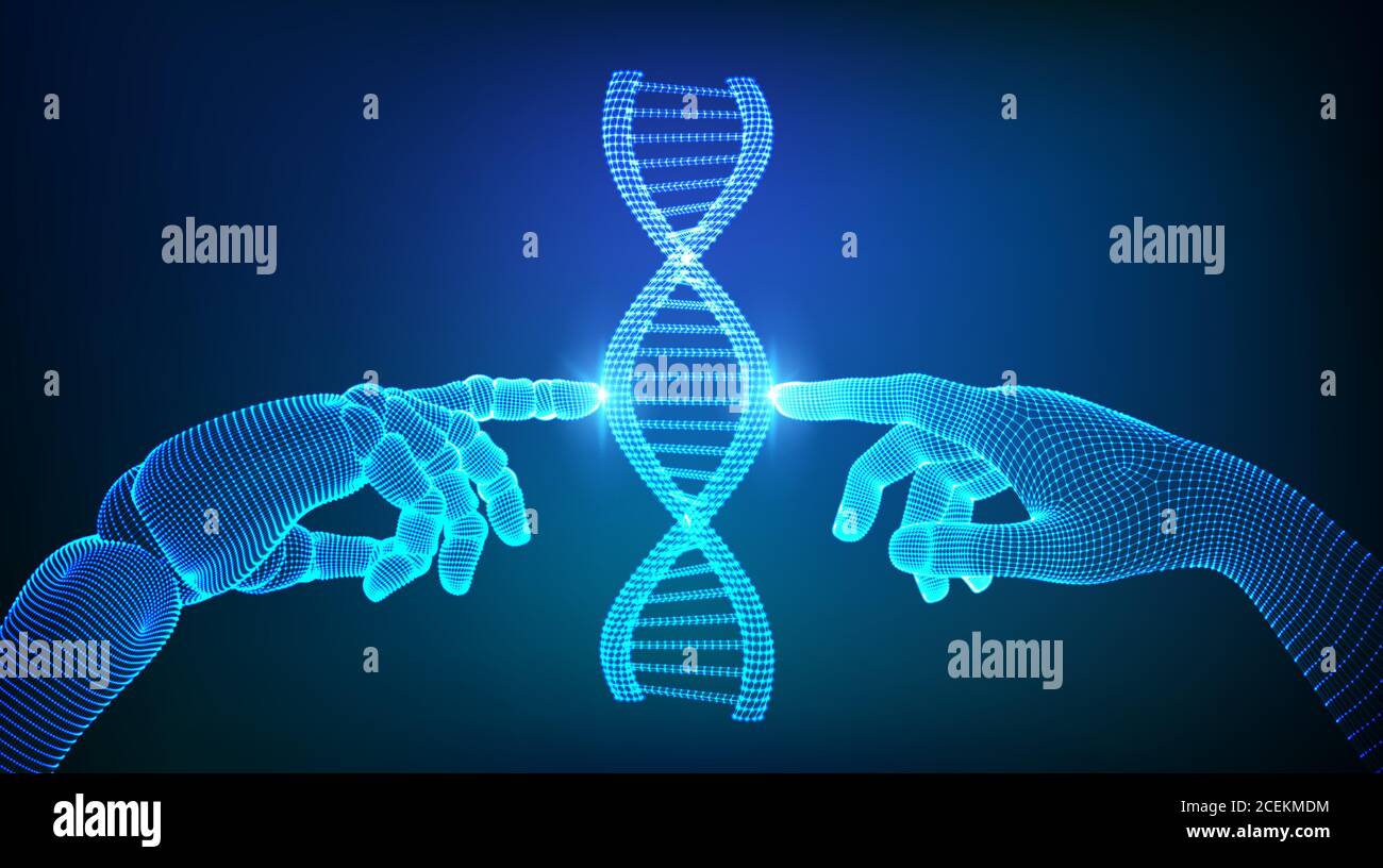 Wireframe DNA sequence molecules structure mesh. Hands of robot and human touching on DNA connecting in virtual interface on future. Artificial Stock Vector