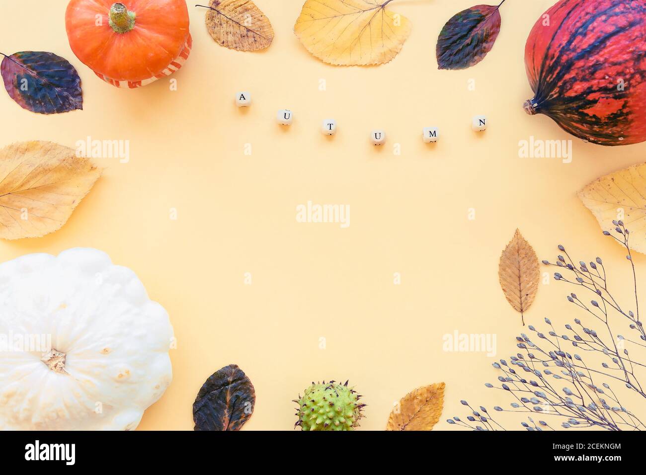 Autumnal composition with dried flowers, leaves, pumpkin. Words Autumn. Top view, flat lay, copy space Stock Photo