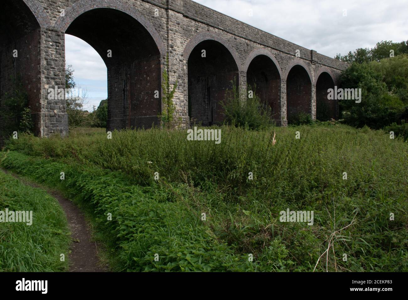 Charlton Road Viaduct on the former Somerset and Dorset railway, at Shepton Mallet, Somerset Stock Photo