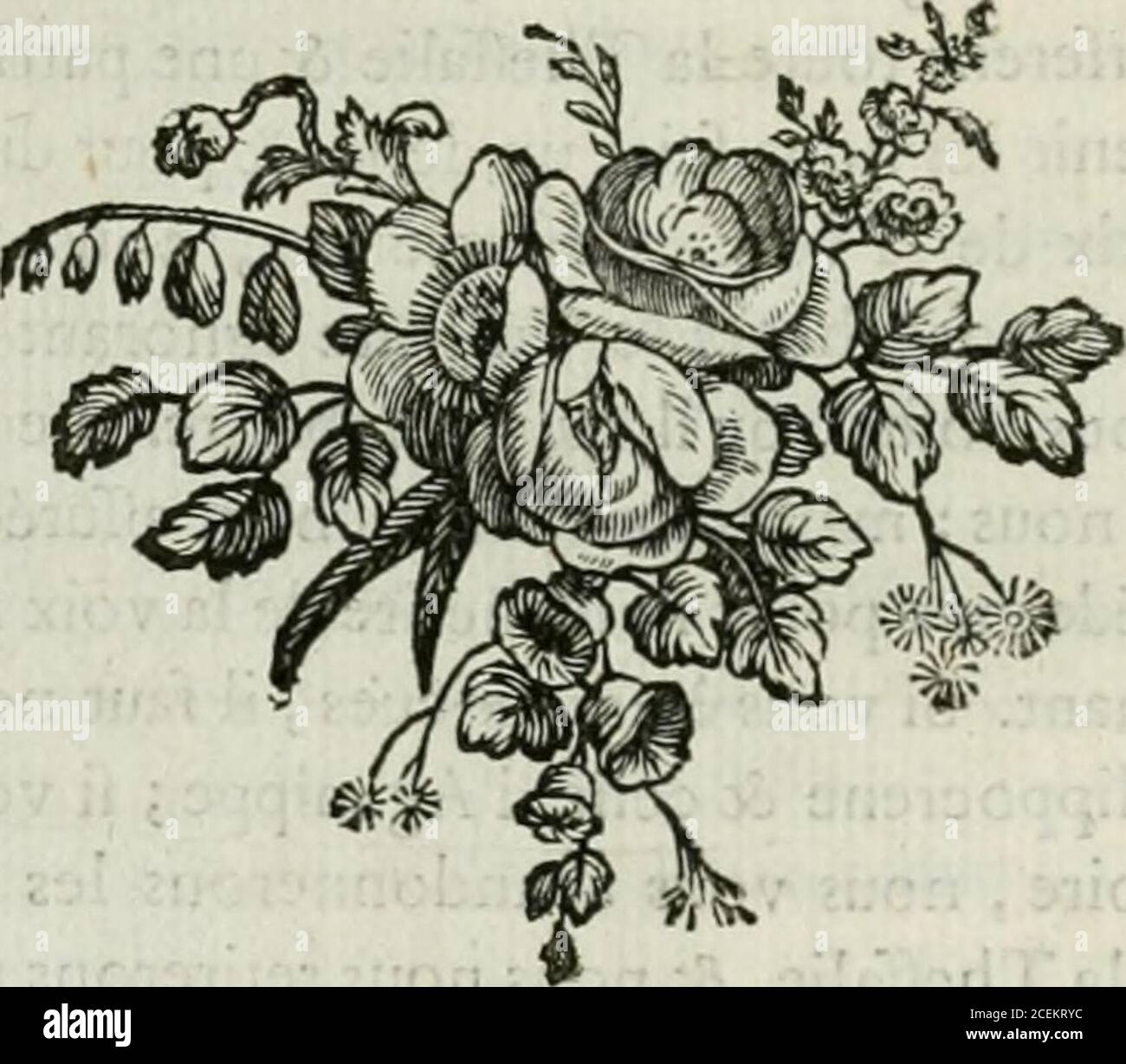 Charmantes hi-res stock photography and images - Alamy
