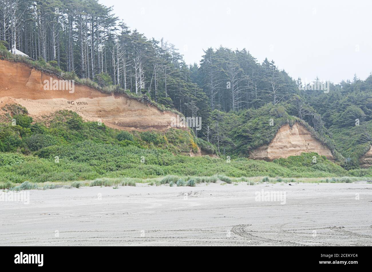Copalis Beach Washington landscape, located in Gray's Harbor County