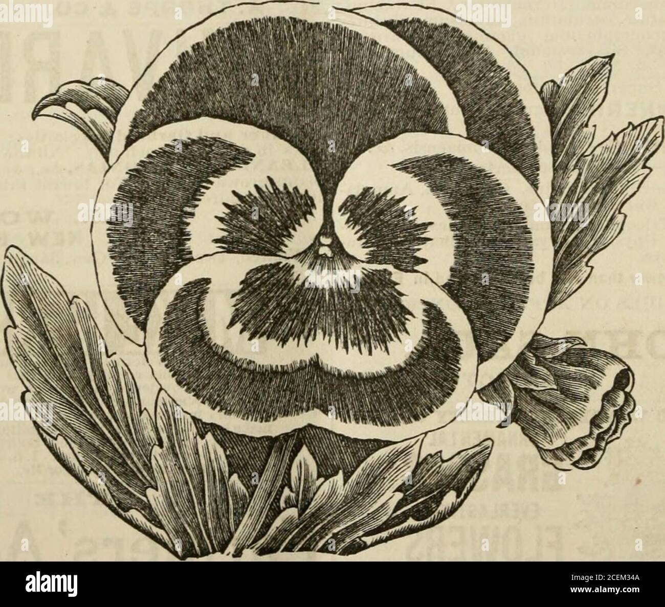 Renc High Resolution Stock Photography And Images Alamy