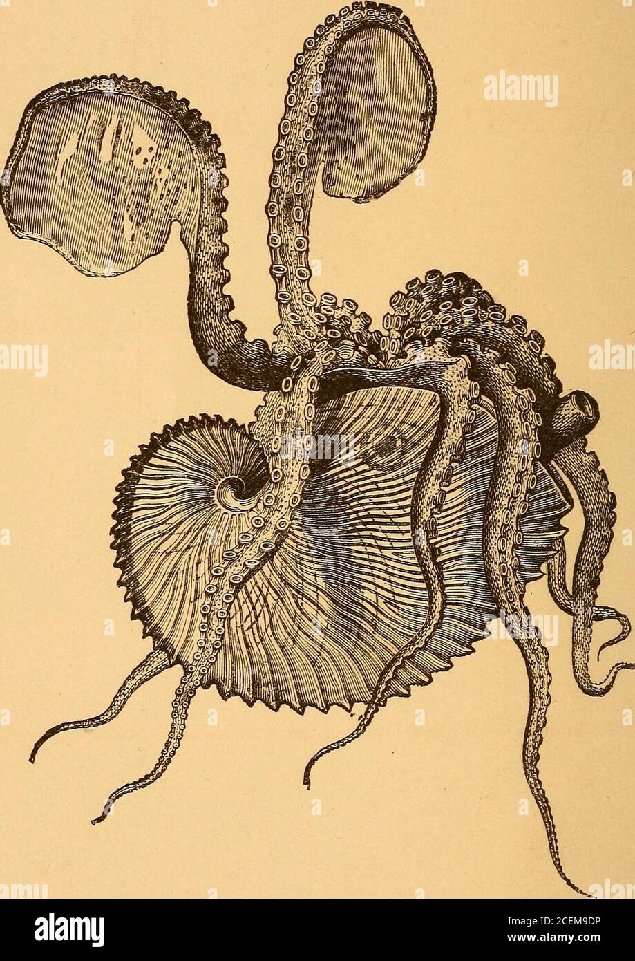 Argo ocean hi res stock photography and images Alamy