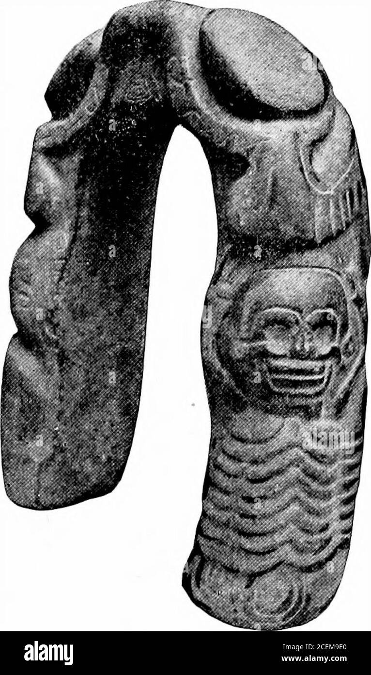 . Certain antiquities of eastern Mexico. ent shape from thatof a frog. On one arm there arecut a skull and a conventionalizedskeleton with upraised arms, andwith ribs, legs, and feet. On theother arm we find a head of a humanbeing, resembling sculpturing on theconvex side of the arch of yokes ofthe first subdivision. The remark-able and unique figure of a humanskeleton lies on one side when theyoke is in a horizontal position sothat the yoke must be placed verticalto bring this figure into a natural attitude. It will be noticed that ahuman face is represented in a depressed area or recess on t Stock Photo