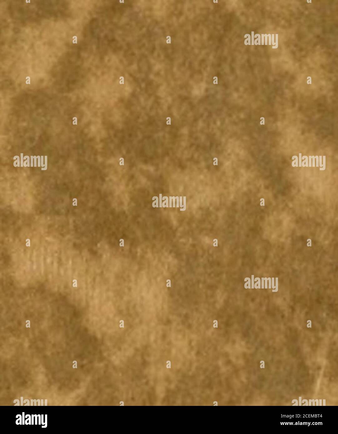 . In Cloudland, Mayview Park, Blowing Rock, North Carolina. LIBRARY OF