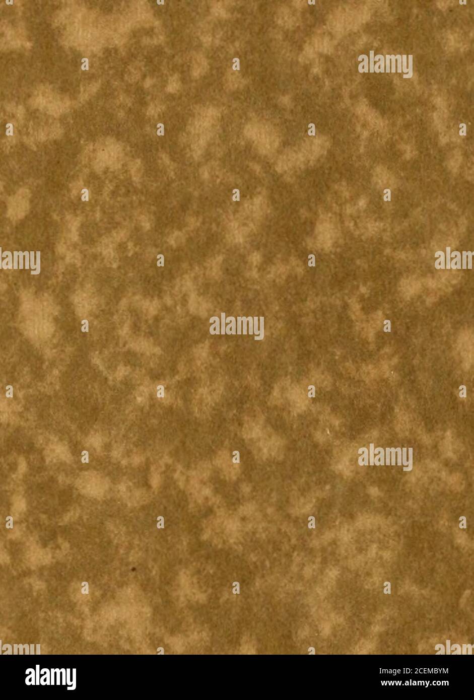 . In Cloudland, Mayview Park, Blowing Rock, North Carolina Stock Photo