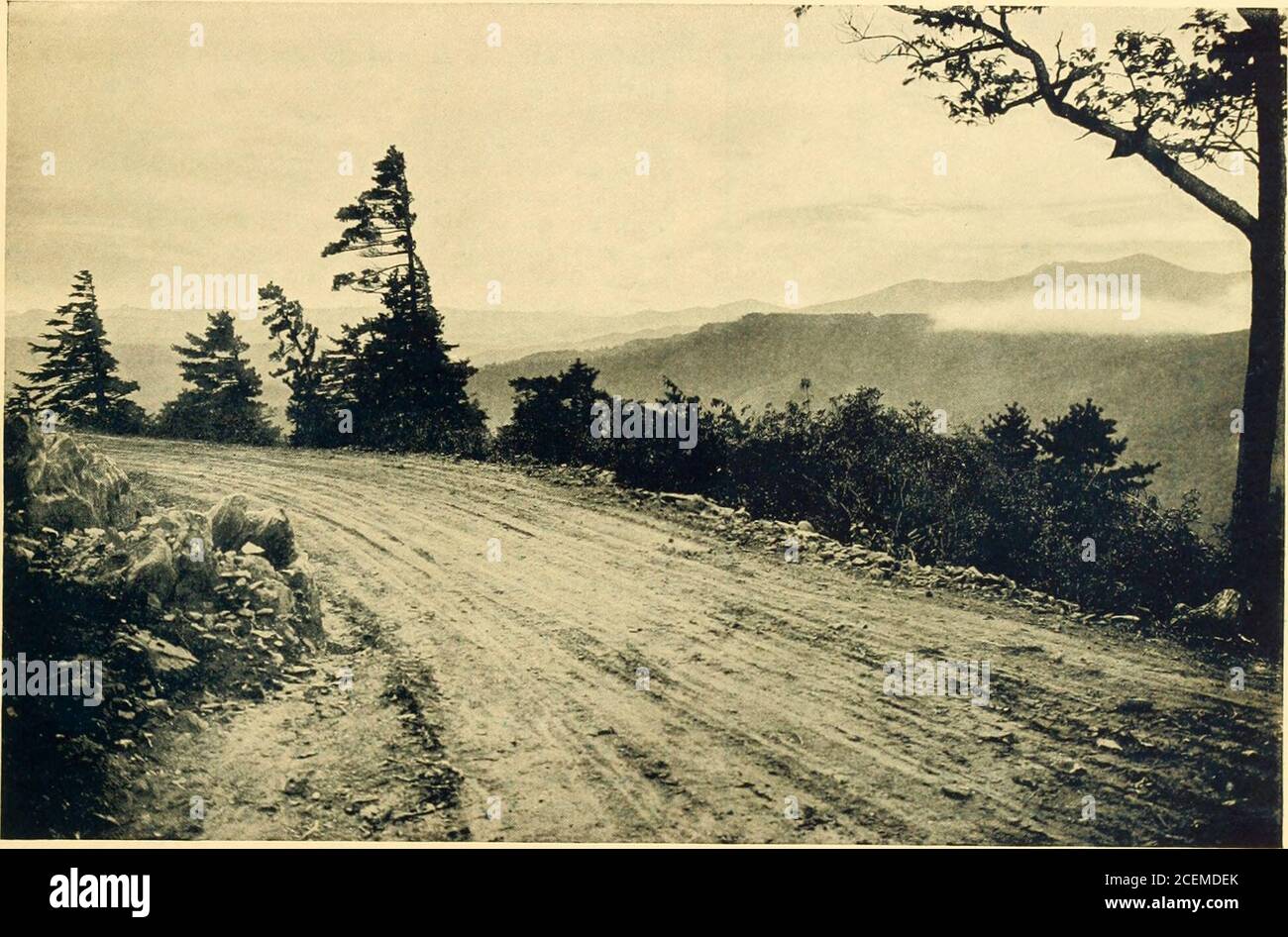 . In Cloudland, Mayview Park, Blowing Rock, North Carolina. Old