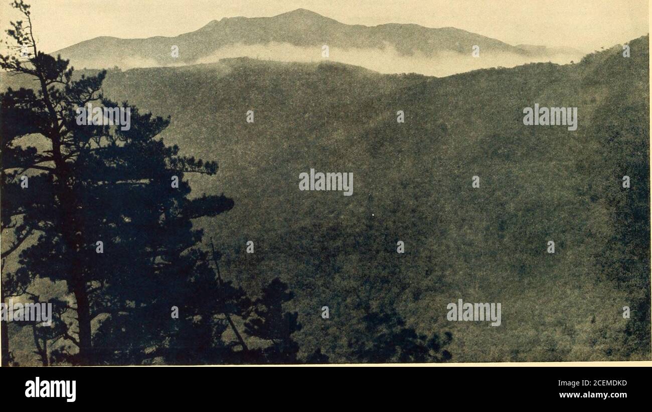 . In Cloudland, Mayview Park, Blowing Rock, North Carolina