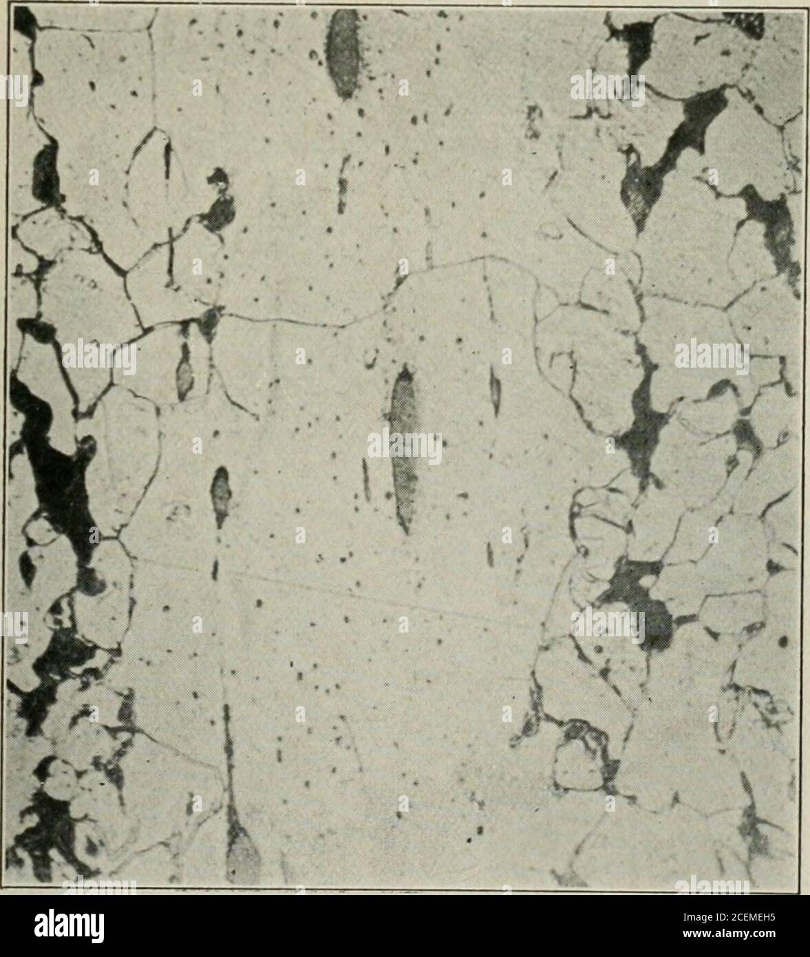 . Transactions. Fig. 50. X 50.. Fig. 51. X 250.Etching reagent, 5 per