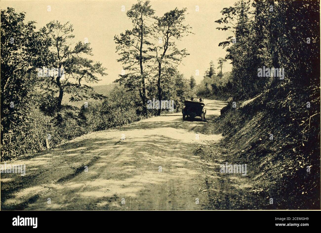 . In Cloudland, Mayview Park, Blowing Rock, North Carolina. Wonderland