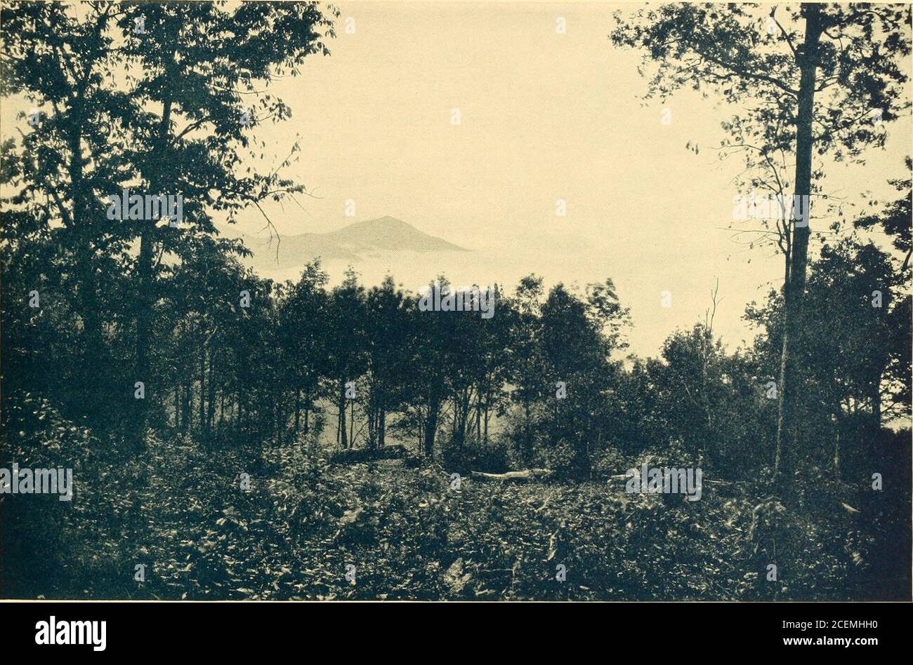 . In Cloudland, Mayview Park, Blowing Rock, North Carolina. Johns River